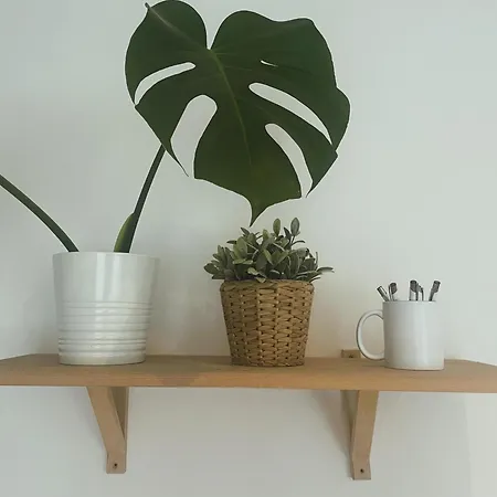 100 Apartament *