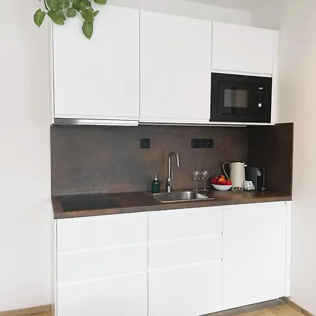 Apartment 100 *